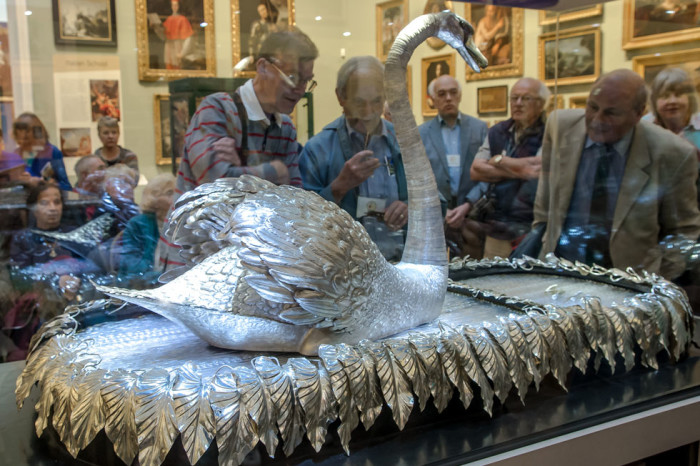 Viewing the silver swan